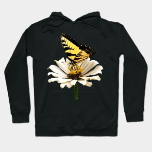 Tiger Swallowtail on White Zinnia Hoodie